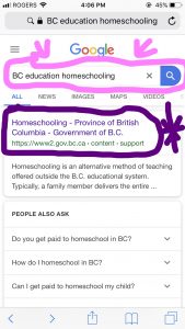 visual showing what to google for education regulations